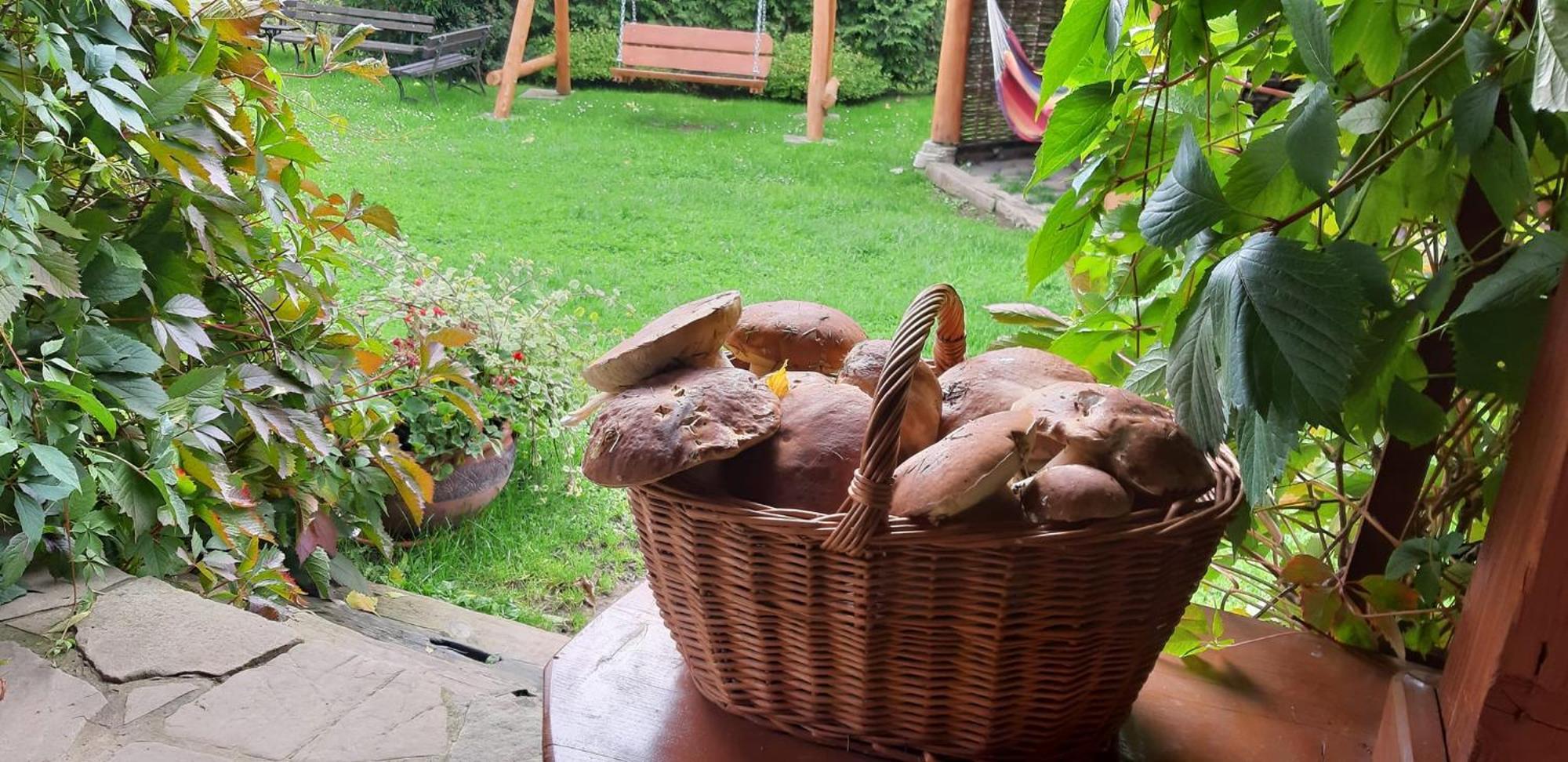 Pegazowa Wola Cisna Daire Dış mekan fotoğraf